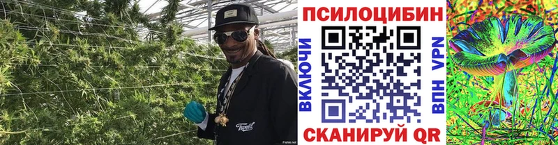 закладки  Городец  мега ссылка  Галлюциногенные грибы MAGIC MUSHROOMS 