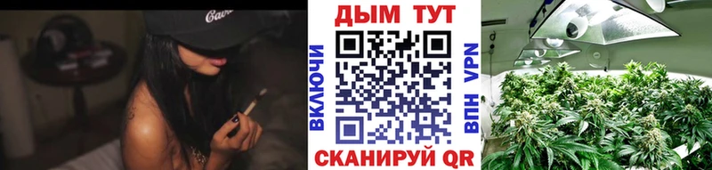 даркнет состав hydra онион Городец Каннабис White Widow