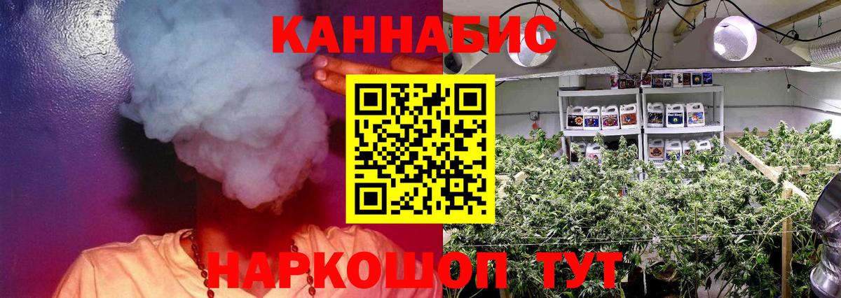МАРИХУАНА Bruce Banner  Вход с VPN  Бошки марихуана план  Городец 
